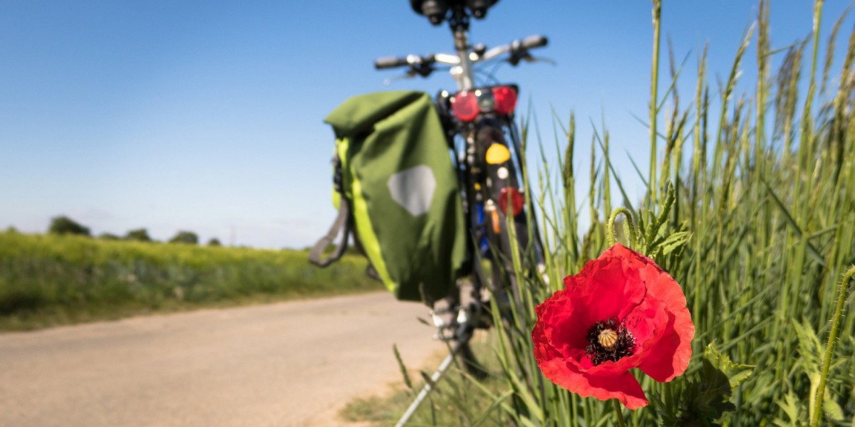 Fiets langs de weg